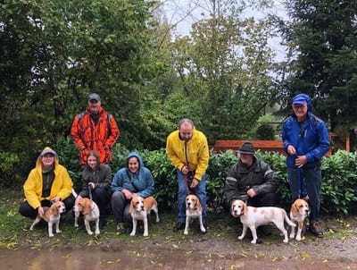 Erfolgreiche Nachkörung von Kisha
