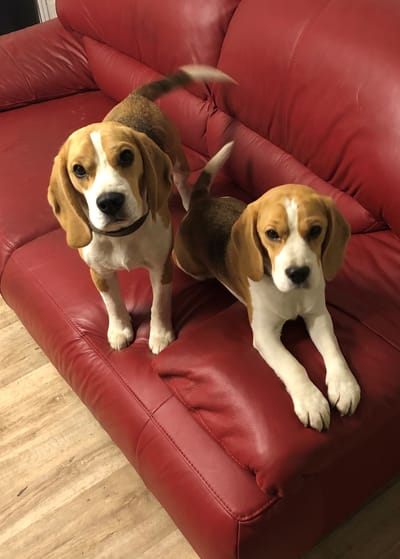 HD-Röntgen erfolgreich