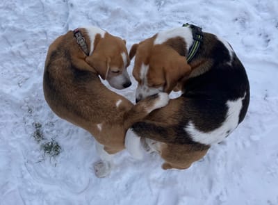 Bella heisses Date bei eisigen Temperaturen