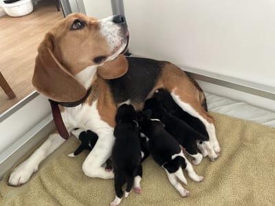 Tatatataaa... Die Jolly's sind Da!!!!