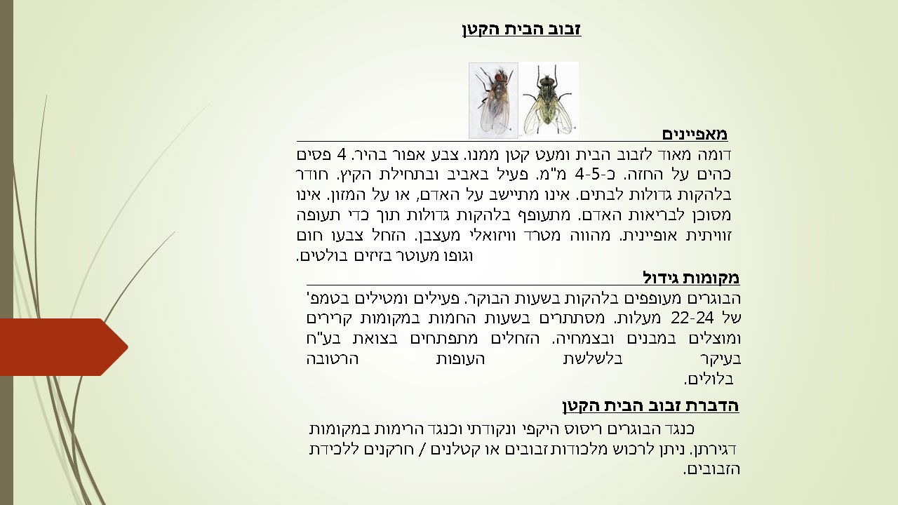 מדביר זבוב הבית הקטן