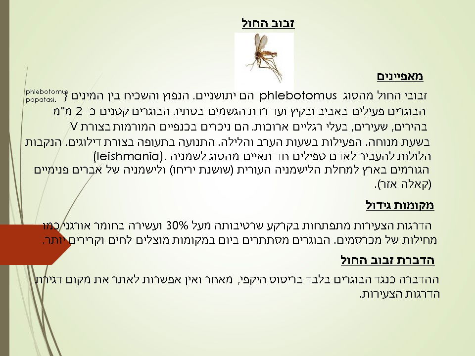 מדביר זבוב החול