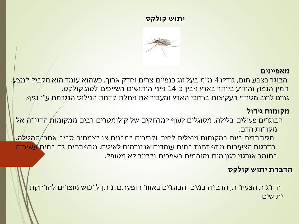 מדביר יתושים קולקס