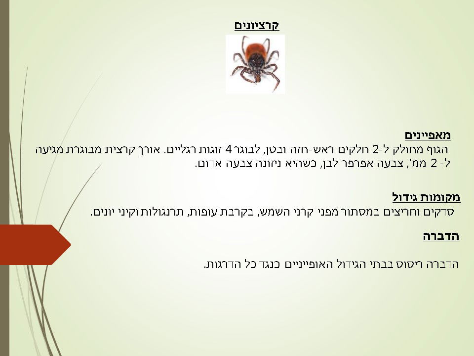 מדביר קרציונים