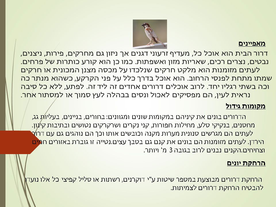מדביר ציפור דרור