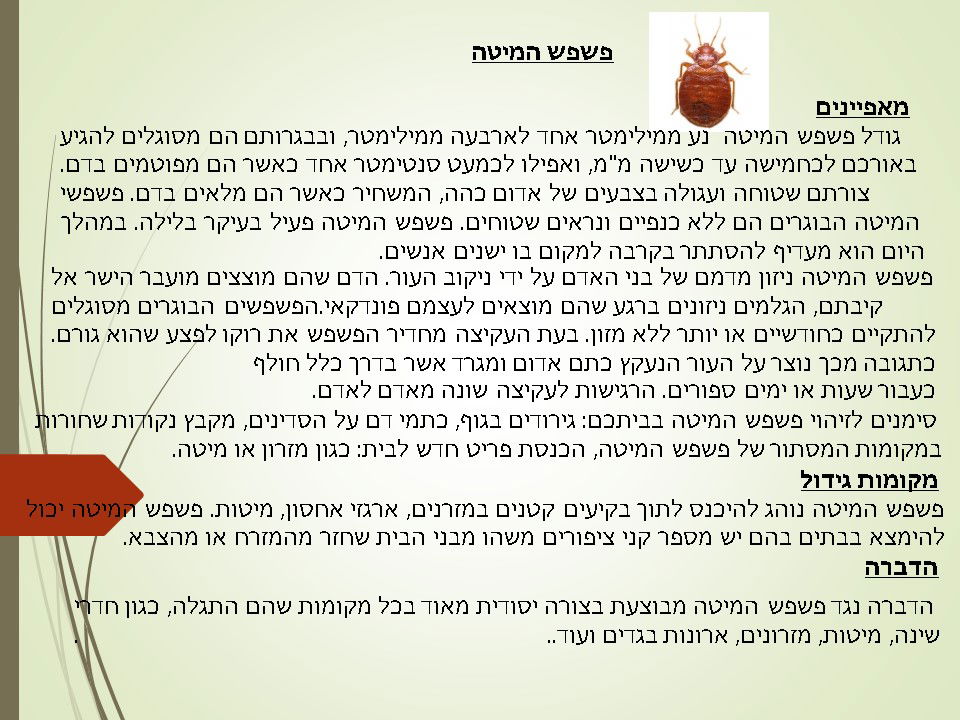 מדביר פשפש המיטה