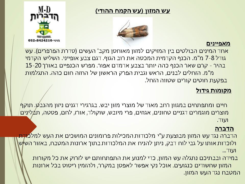 הדברת עש המזון