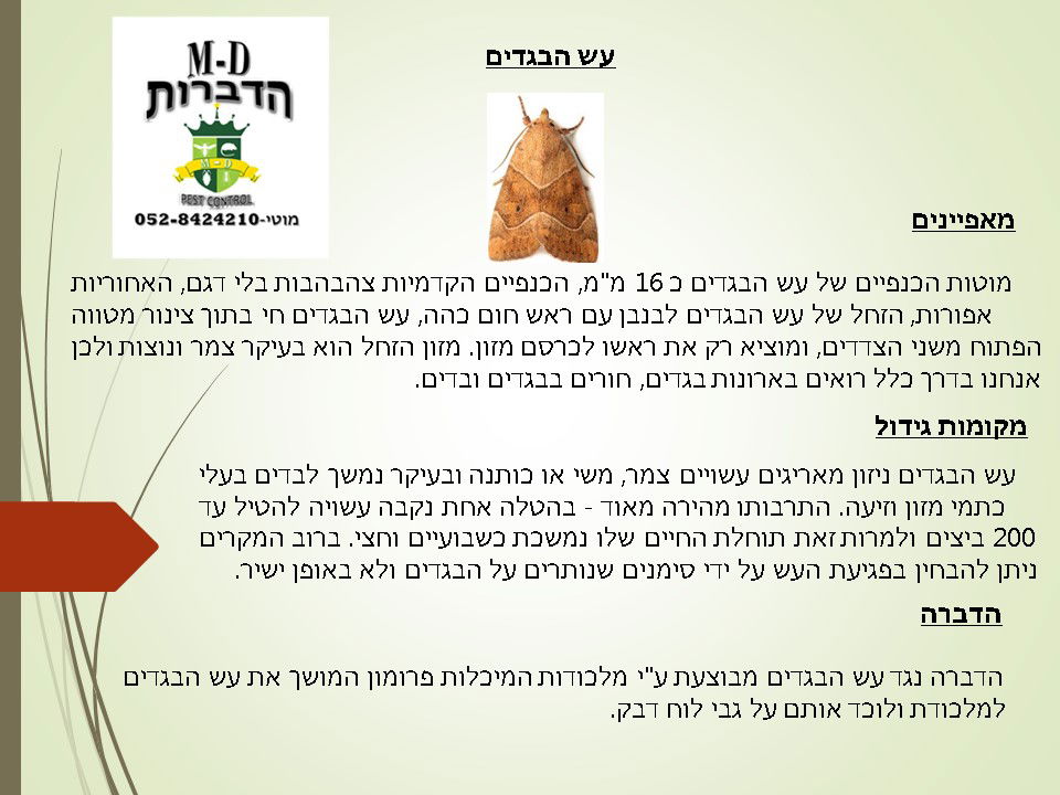 מדביר עש הבגדים