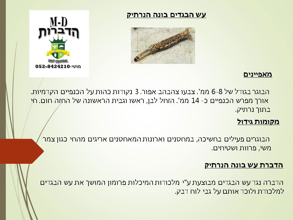 מדביר עש הבגדים בונה הנרתיק