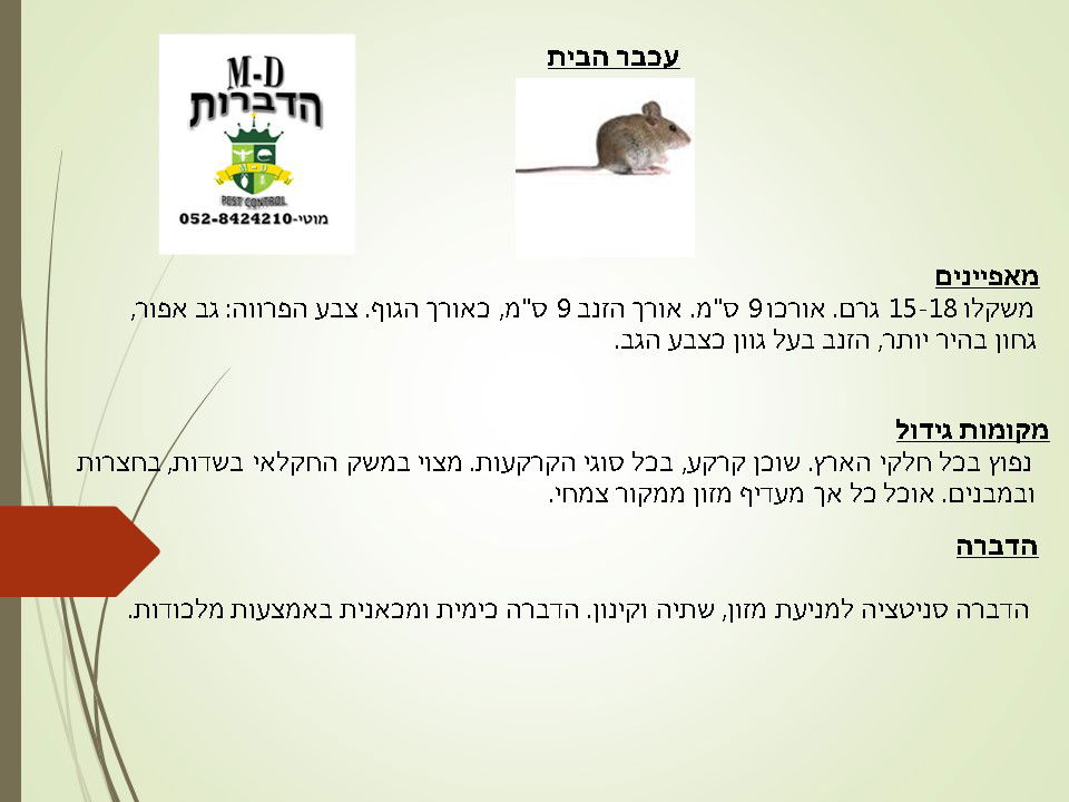 מדביר ולוכד עכברים הבית