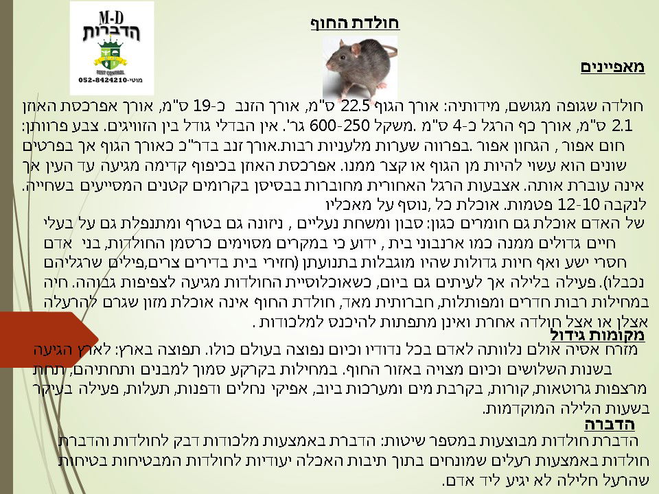 מדביר ולוכד חולדות החוף
