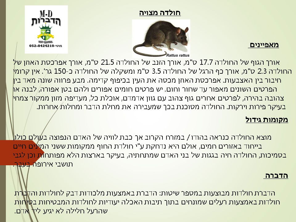מדביר ולוכד חולדה מצויה