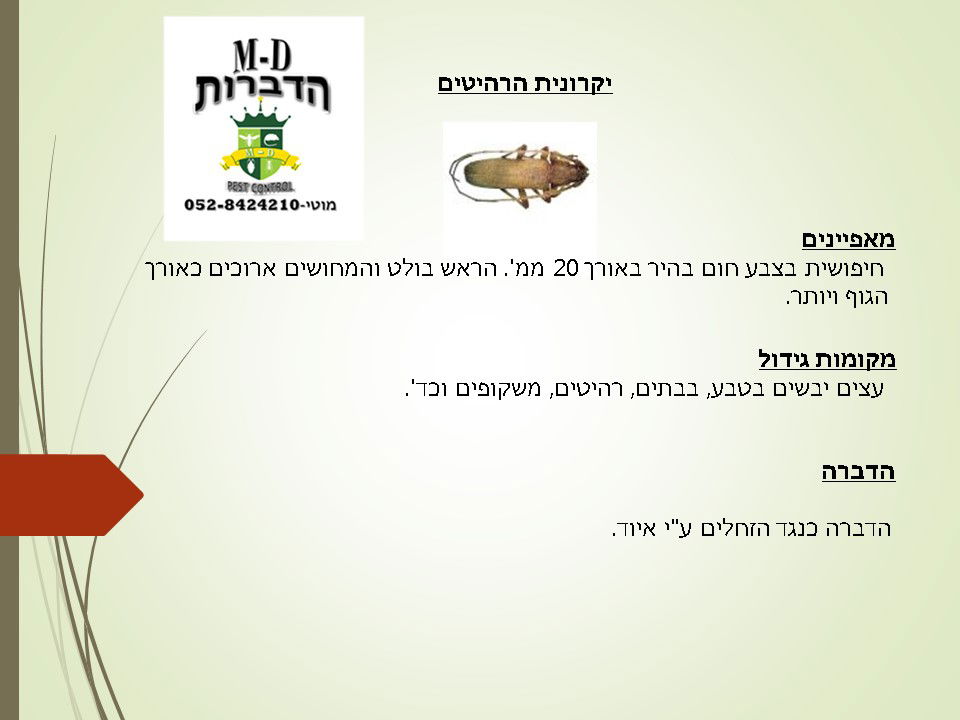 מדביר יקרונית הרהיטים