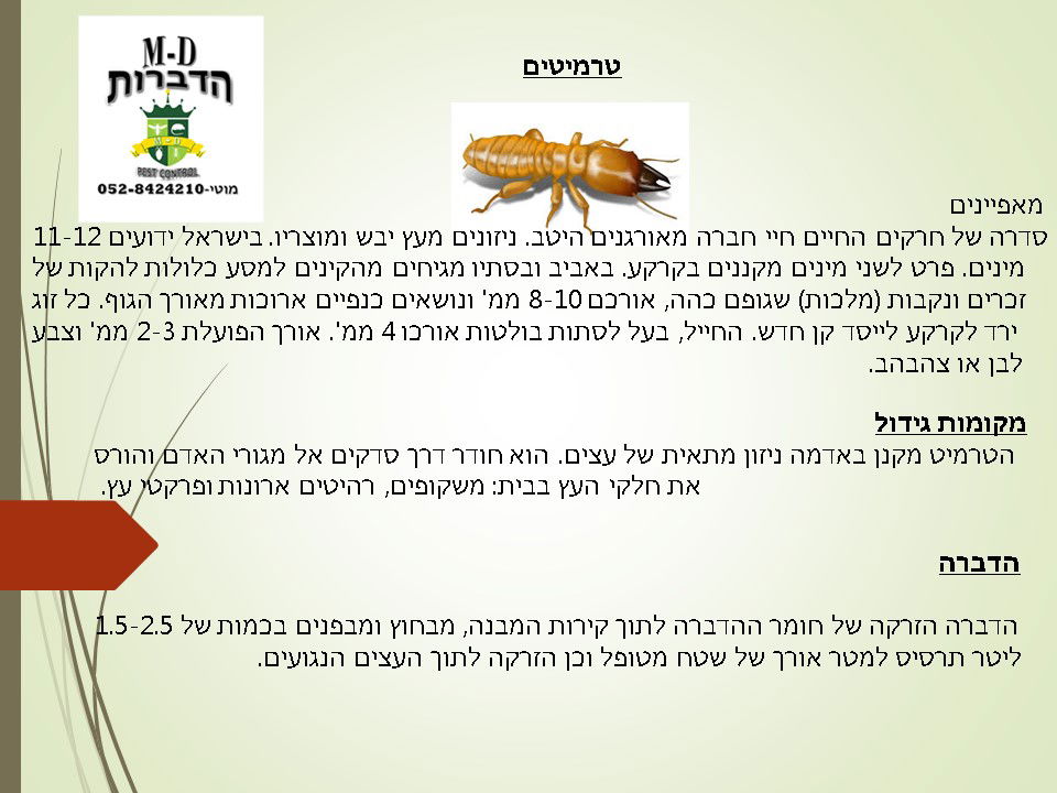 מדביר הדברת טרמיטים