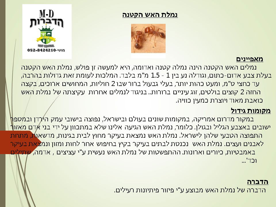מדביר נמלת האש הקטנה