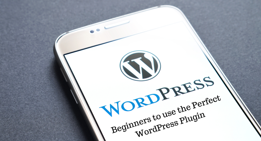 Beginners to use the Perfect WordPress Plugin