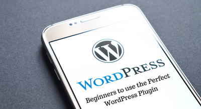 Beginners to use the Perfect WordPress Plugin