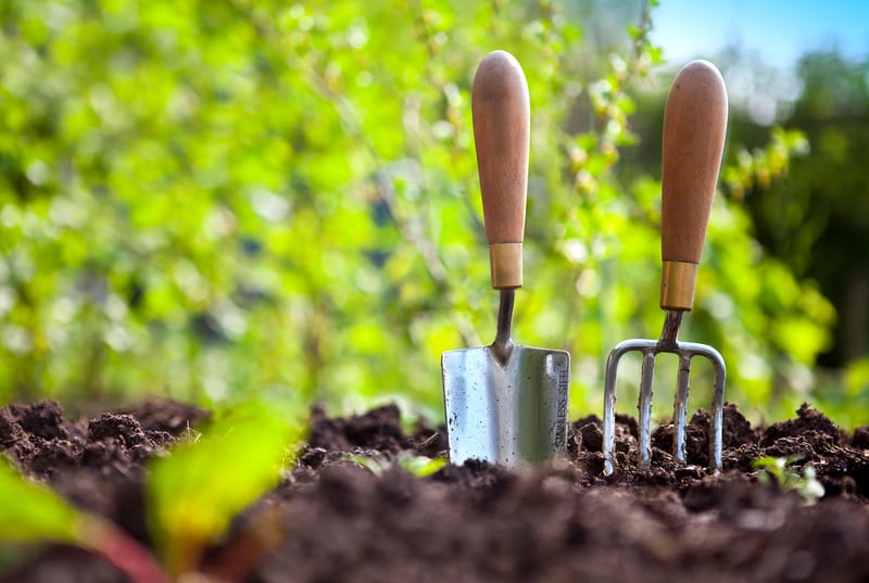 Finest Wheelbarrow 2019 (Value for Money)