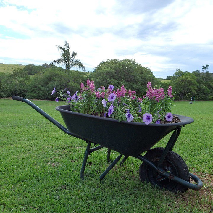 Guide to the world’s best wheelbarrow