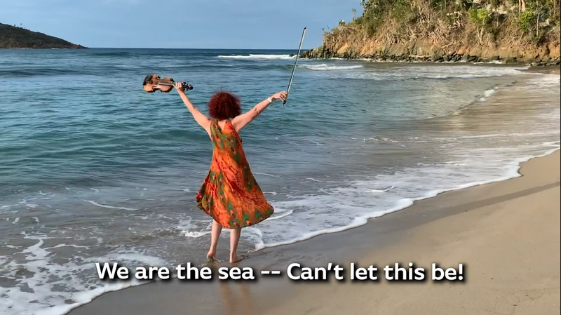 We Are The Sea