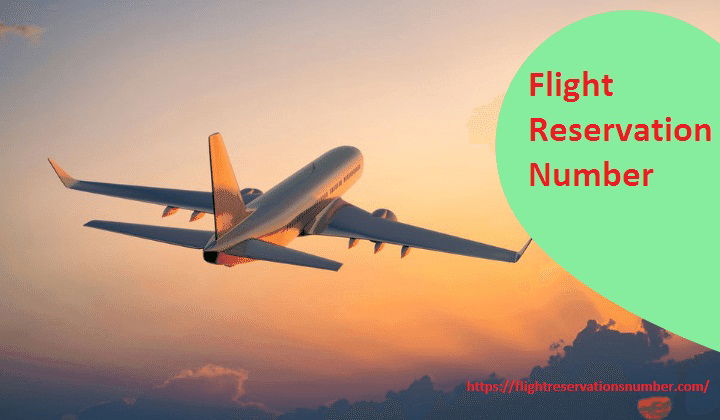 Choose Delta Airlines Vacations Packages Phone Number