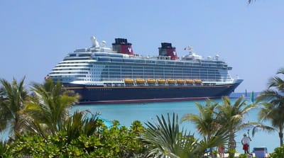 Cruise