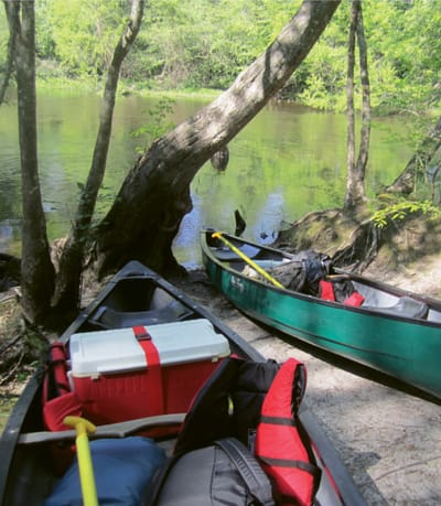 Take Me to the River