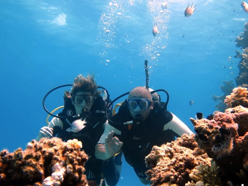 Diving