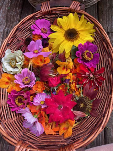 Celebrating Mabon 2020 - Strength and peace through a return to practice