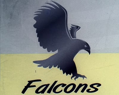 FALCONS