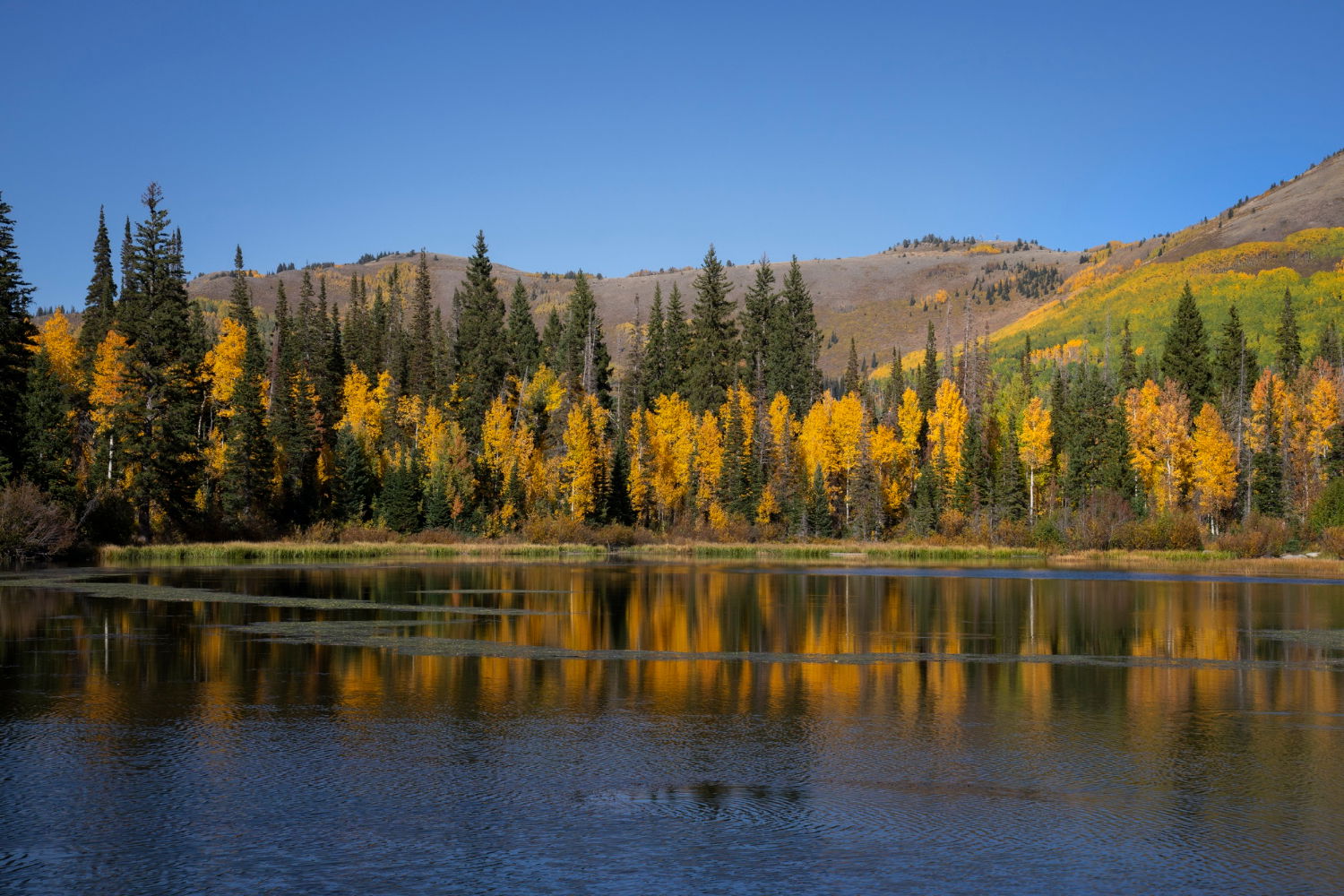 Introduction of Northwest Colorado "Great Outdoors" Travelogue Blog & Vlog