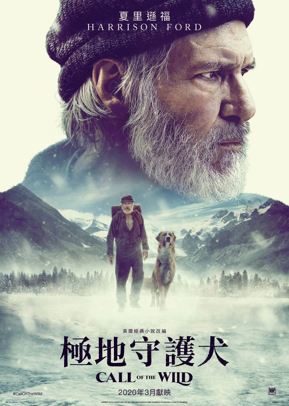 上映電影資訊 –《極地守護犬》