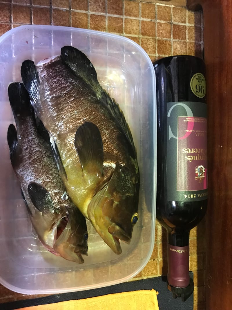 Isla den Colom-Es Grau