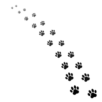 הילָחם או בְּרח