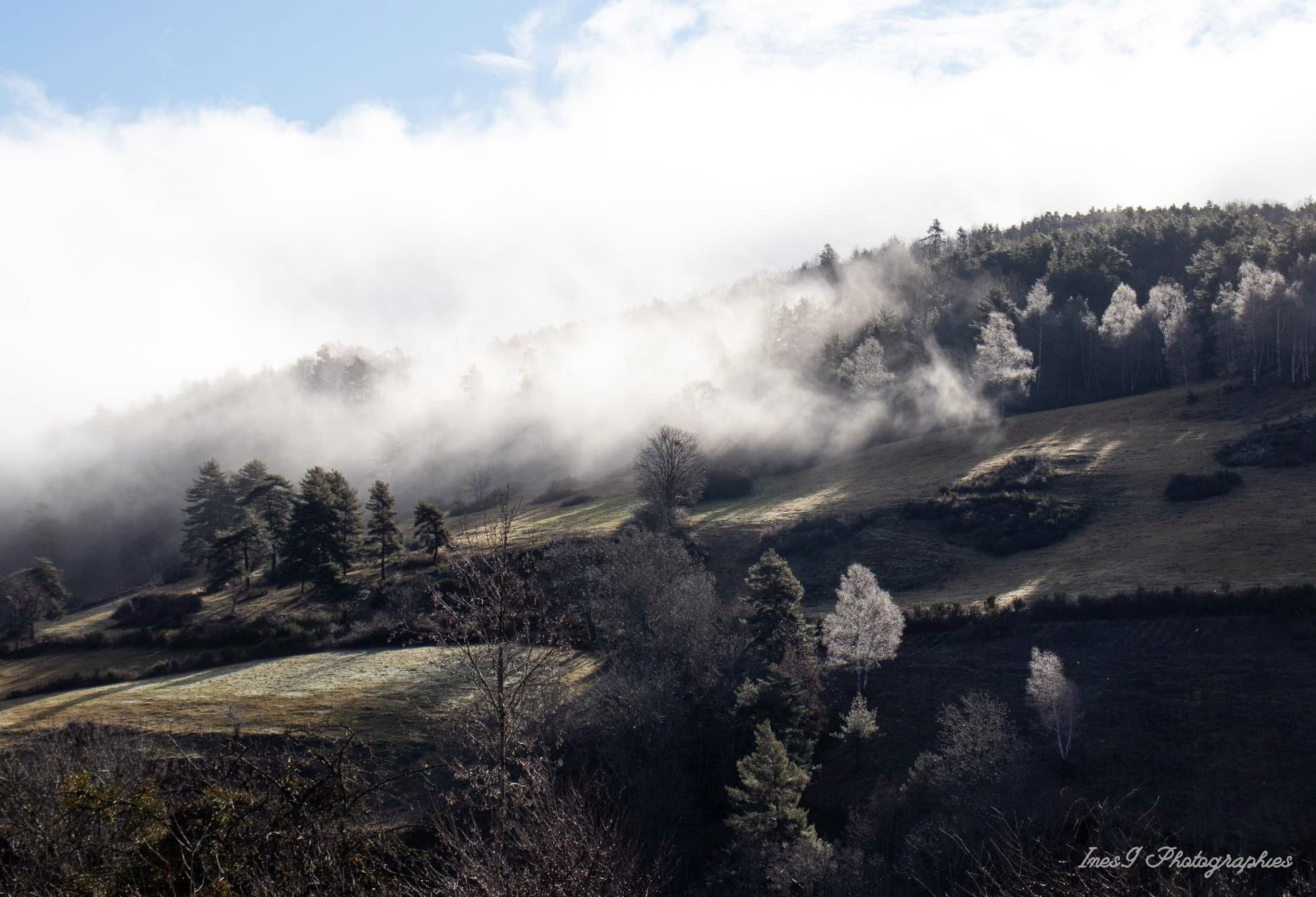 Un matin d'hiver un peu frais