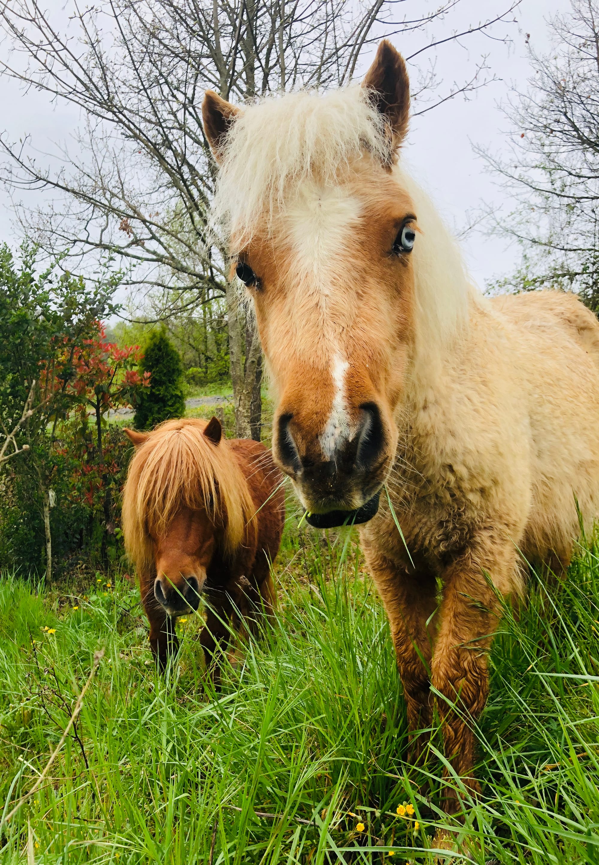 Les 2 artistes de Ginestoux