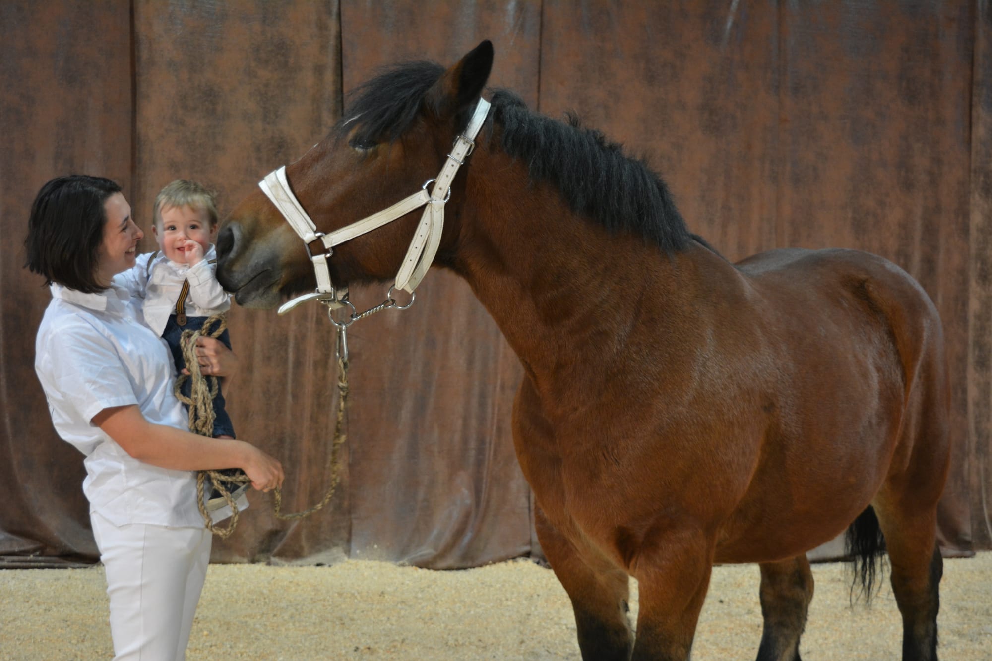 Concours Modèles et Allures à Aumont - Gitane 3 ans octobre 2019