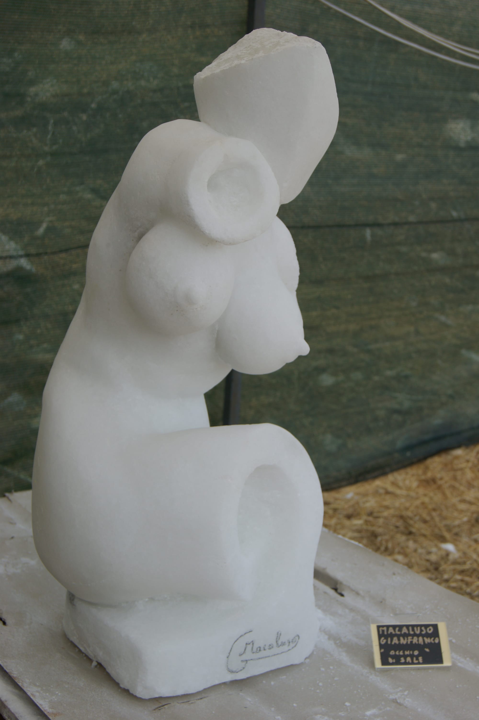 2013 ''occhio di sale'' salgemma, hcm100. 2° biennale internaz.
