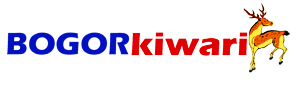 bogorkiwari.com