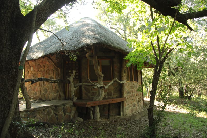 Bush Camp
