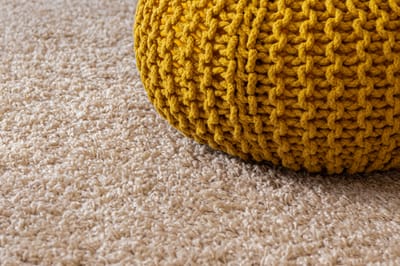 Carpet cleaning Palo Alto image