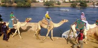 خدماتنا