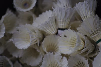 3ème TDJ pour nos jeunes