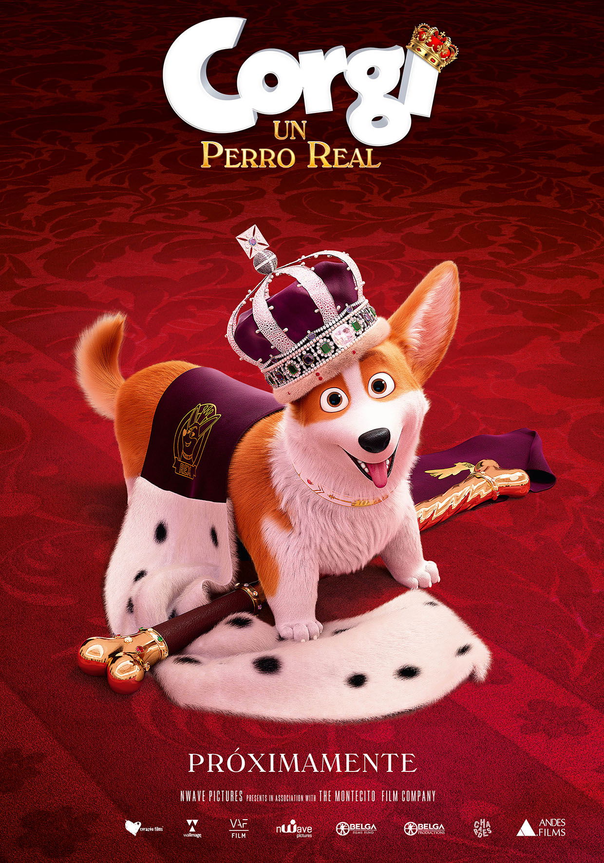 Corgi: Un Perro Real