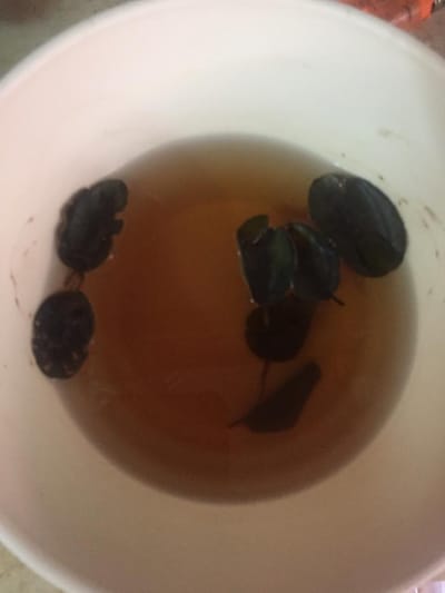 فك السحر image