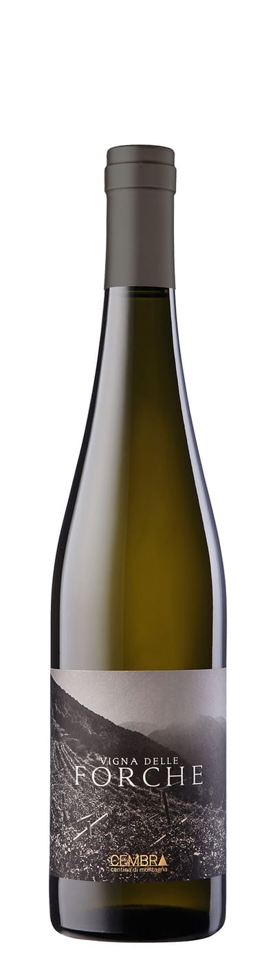 MULLER THURGAU - Vigna le Forche   Cembra Cantina di Montagna