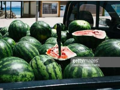 PODCAST EPISODE 8 WATERMELON ROUNDUP RUN PODCAST