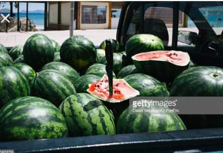 Watermelon Roundup Run