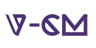 V-CM INTERNATIONAL CREDIT MANAGEMENT LTD