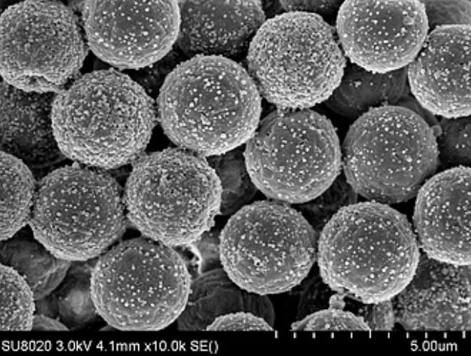 Ordering Polystyrene Microspheres 1μm Quantity In Your Lab